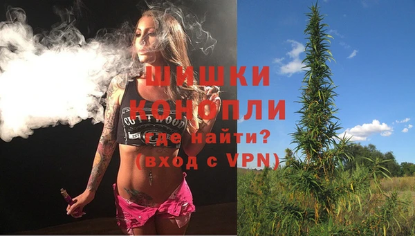 спиды Шали