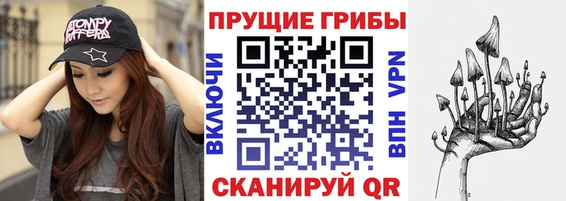 Купить где  Козельск  Псилоцибиновые грибы Magic Shrooms 